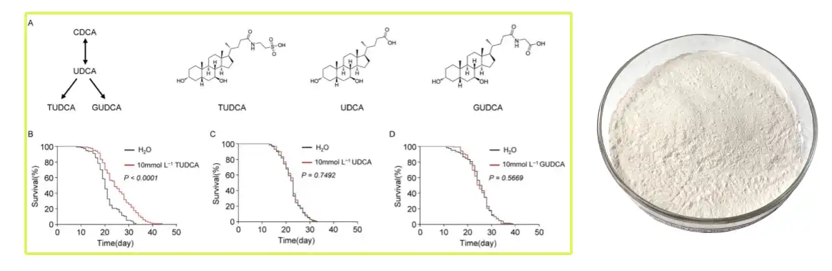 TUDCA Powder.jpg